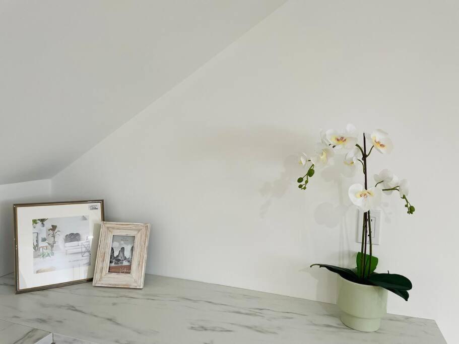 Apartment Stylish Cozy One Bedroom Studio With Free Parking Victoria
