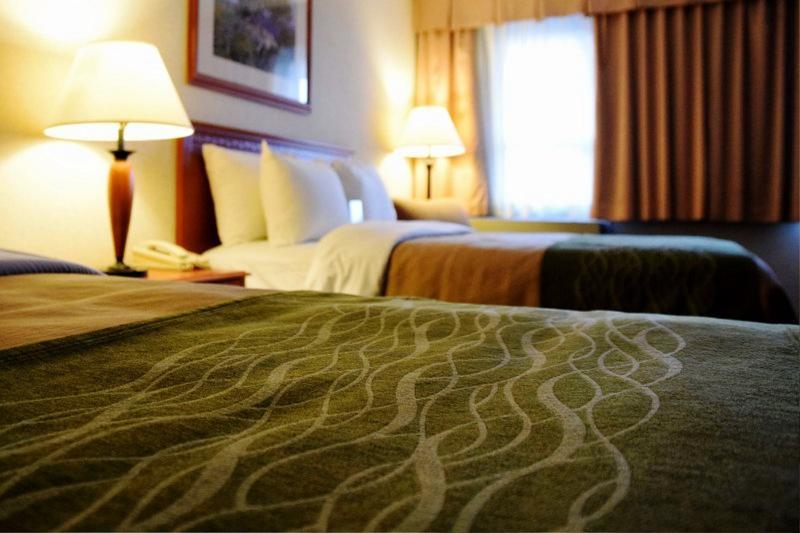 Comfort & 3*
