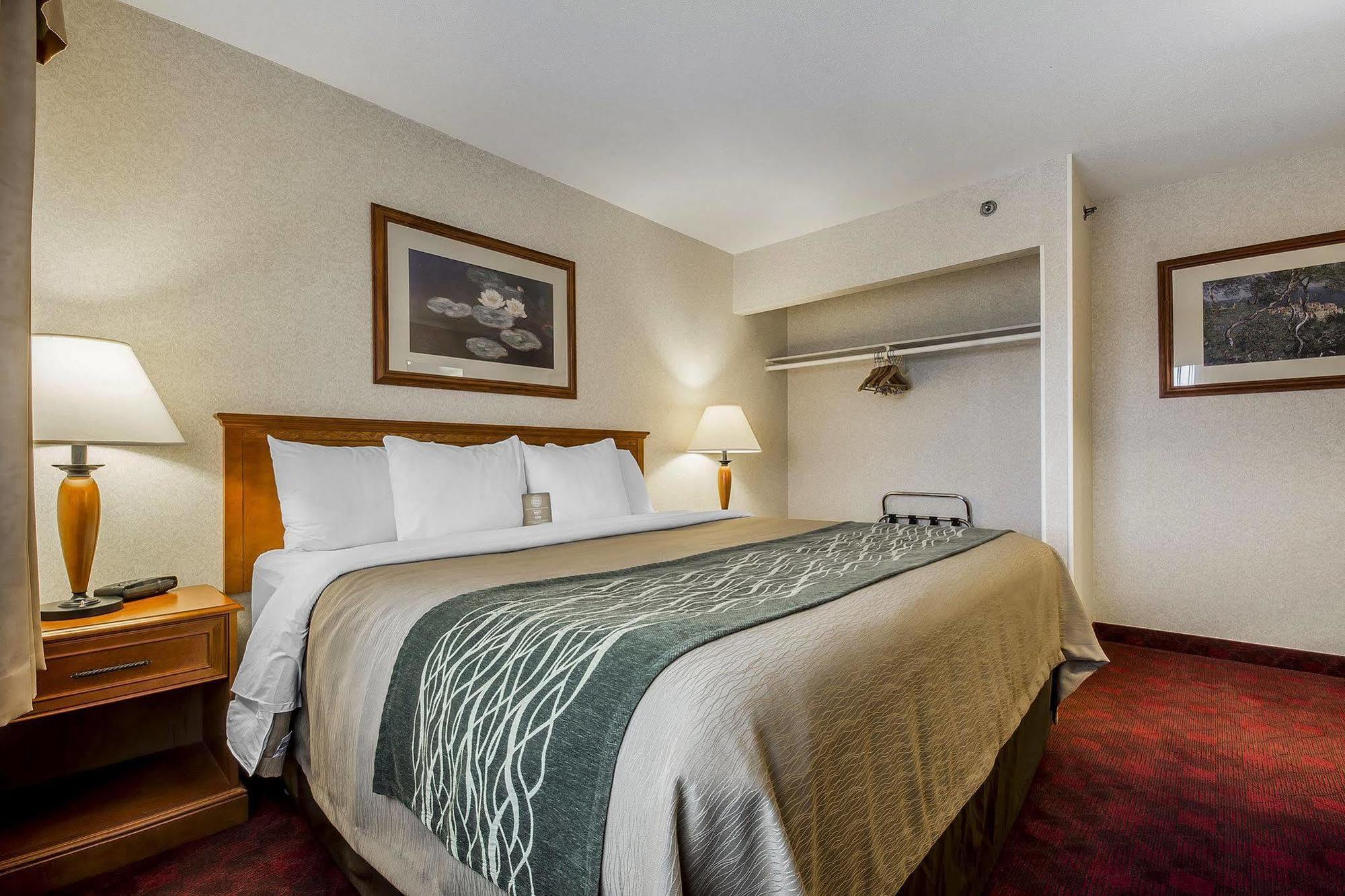 Hotel Comfort & 3*