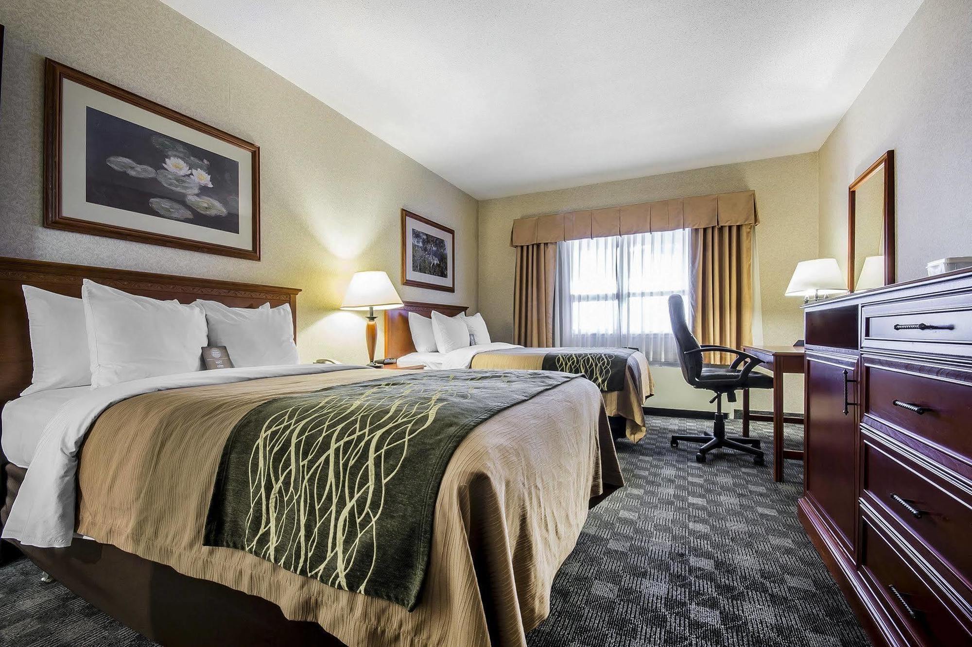 Comfort & Hotel 3*