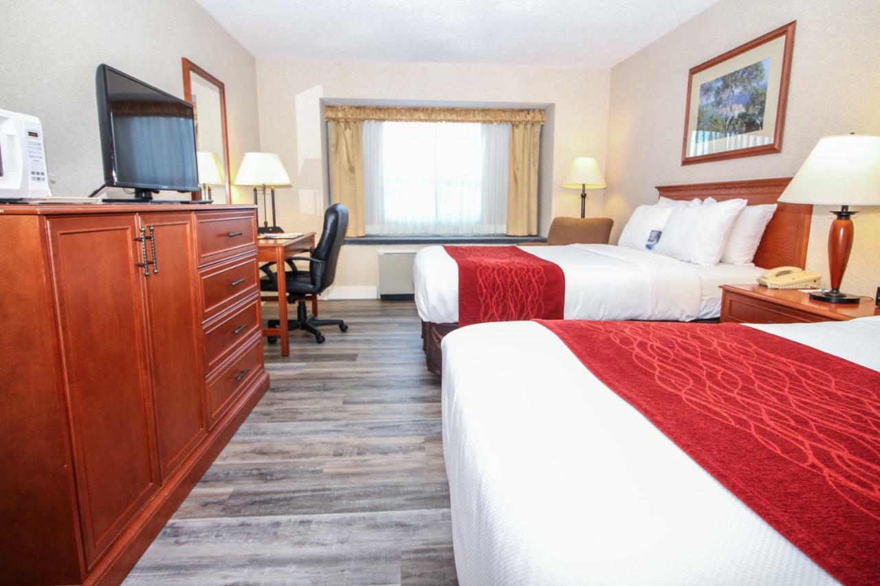 Comfort & Hotel 3*