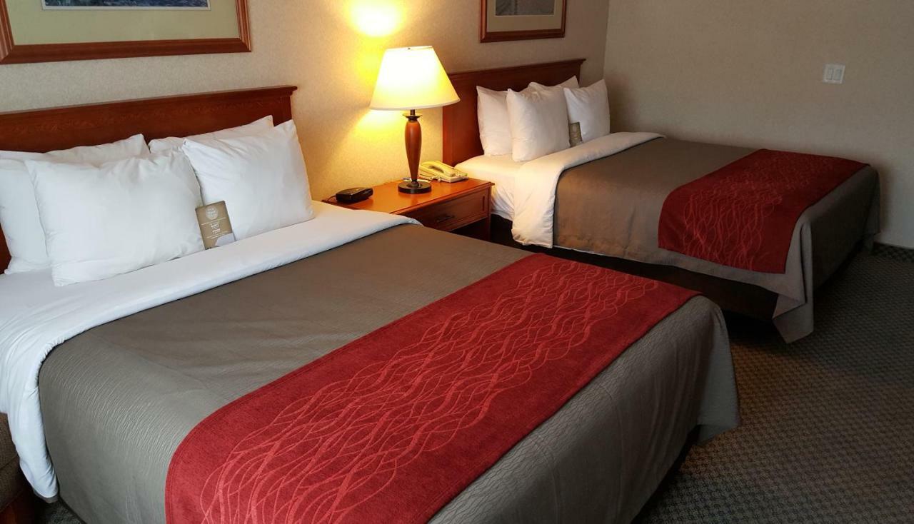 Hotel Comfort & Victoria
