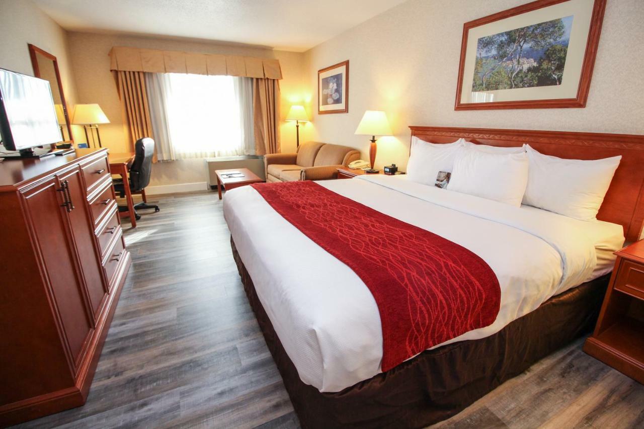 Comfort & Hotel Victoria