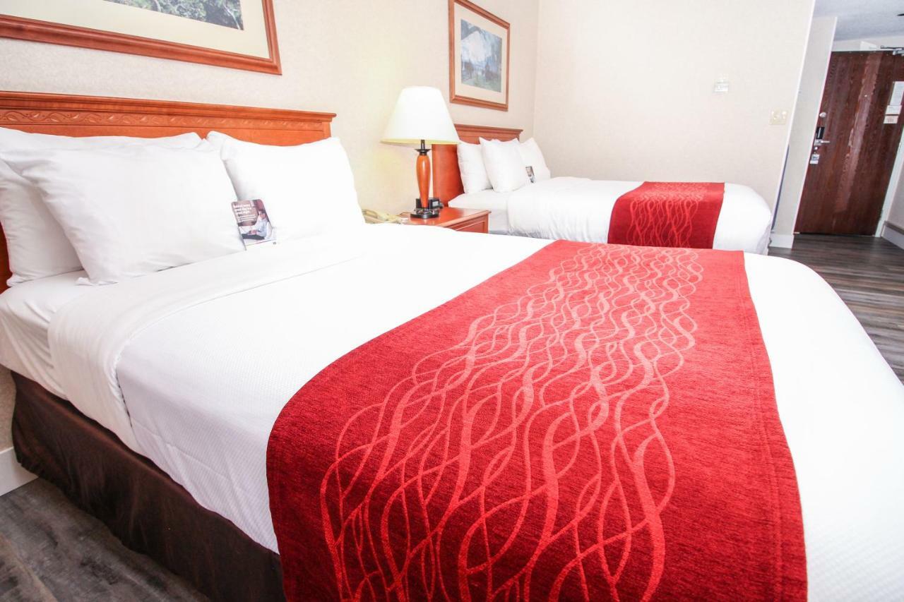 Hotel Comfort &