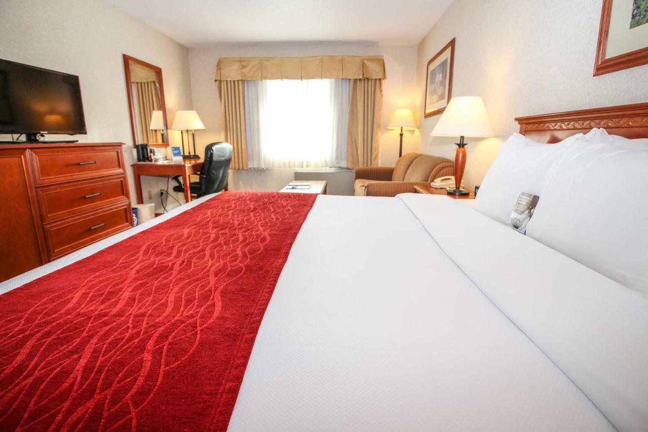 Comfort & Hotel