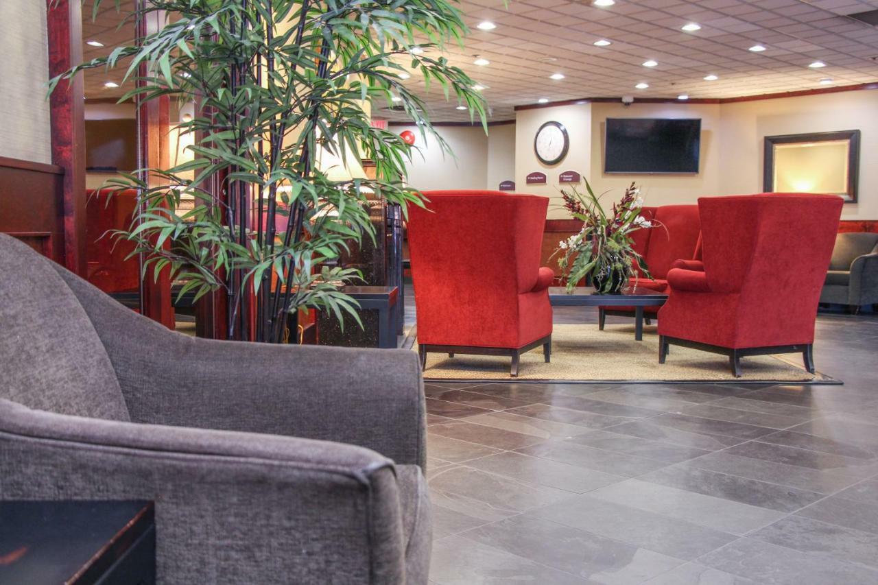 Hotel Comfort &