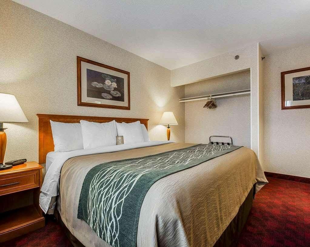 Comfort & Hotel
