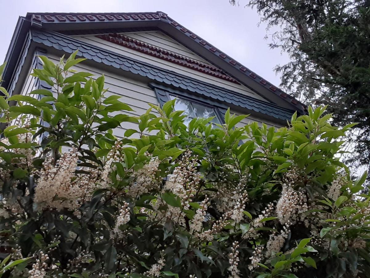 Sea Birds Bed & Breakfast Victoria