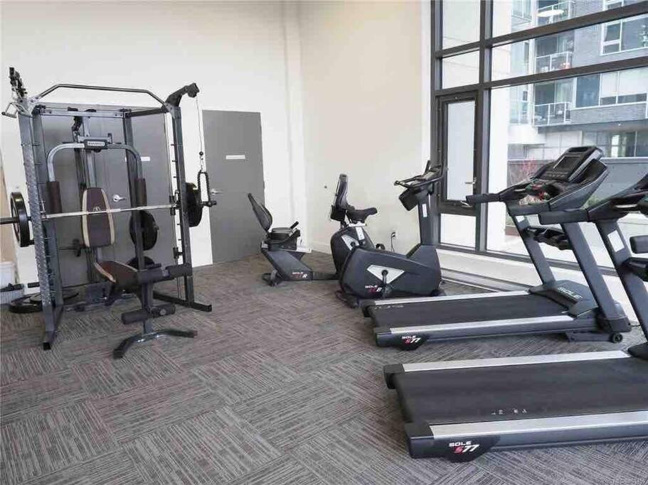 Modern And Spacious 2 Bedroom Downtown With Ocean Views