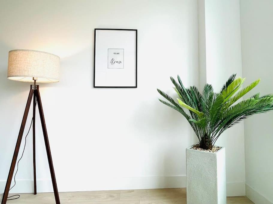 Lovely 2 Bedroom Downtown With Free Parking Apartment *