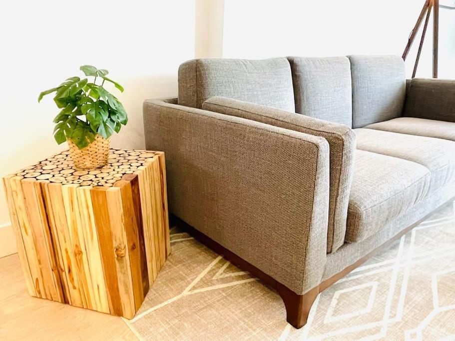 Lovely 2 Bedroom Downtown With Free Parking