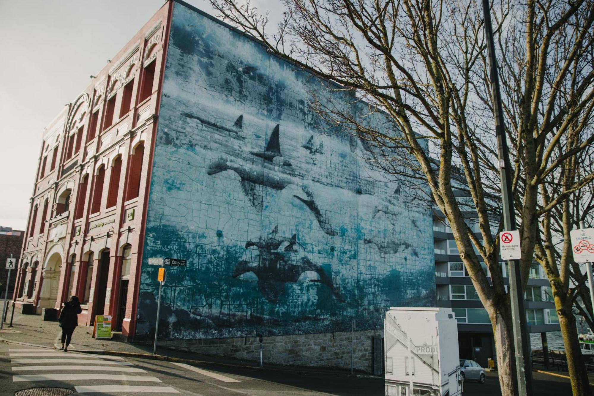 The Orca Pad At Waddigton Flats Apartment *