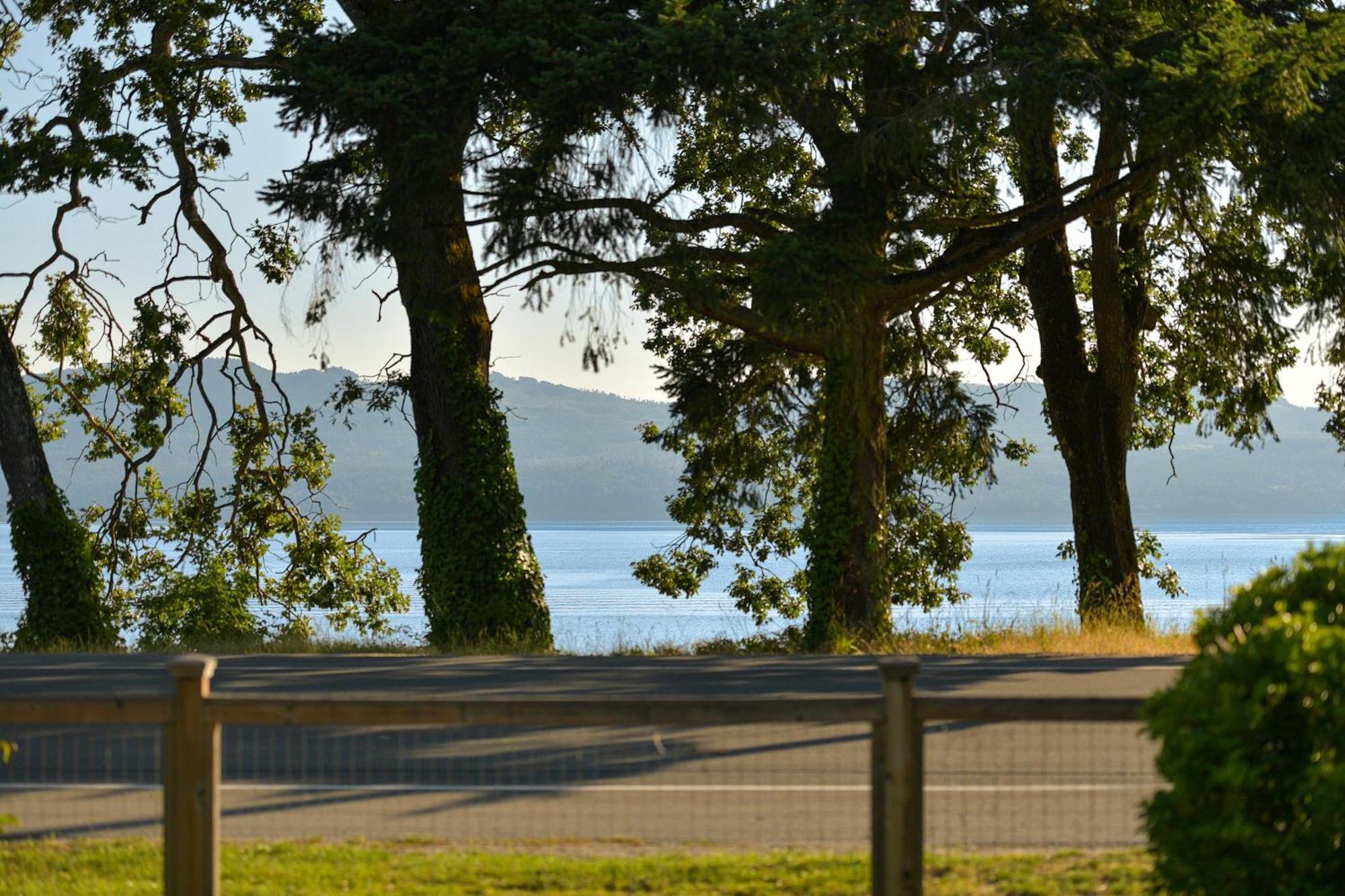 The Bayside