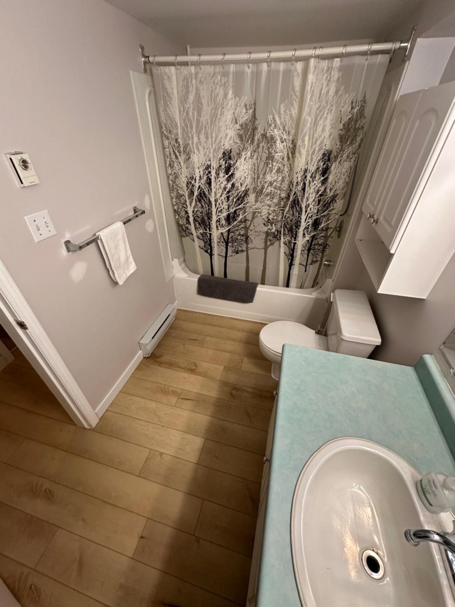 Apartment Artistic Near Downtown Victoria