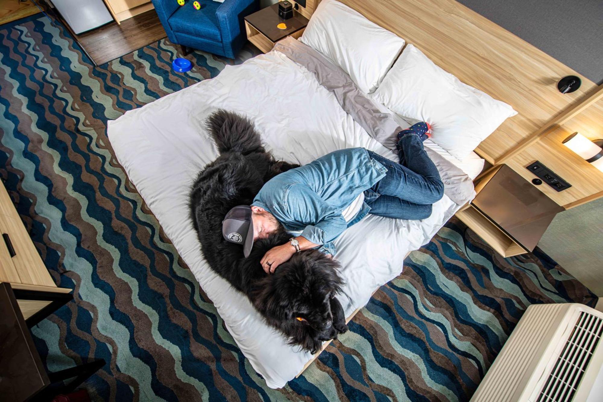 Accent Victoria Hotel 3*