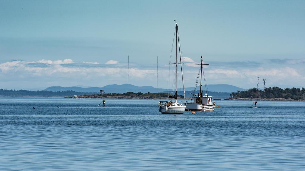 Oak Bay Bed & Breakfast 2*