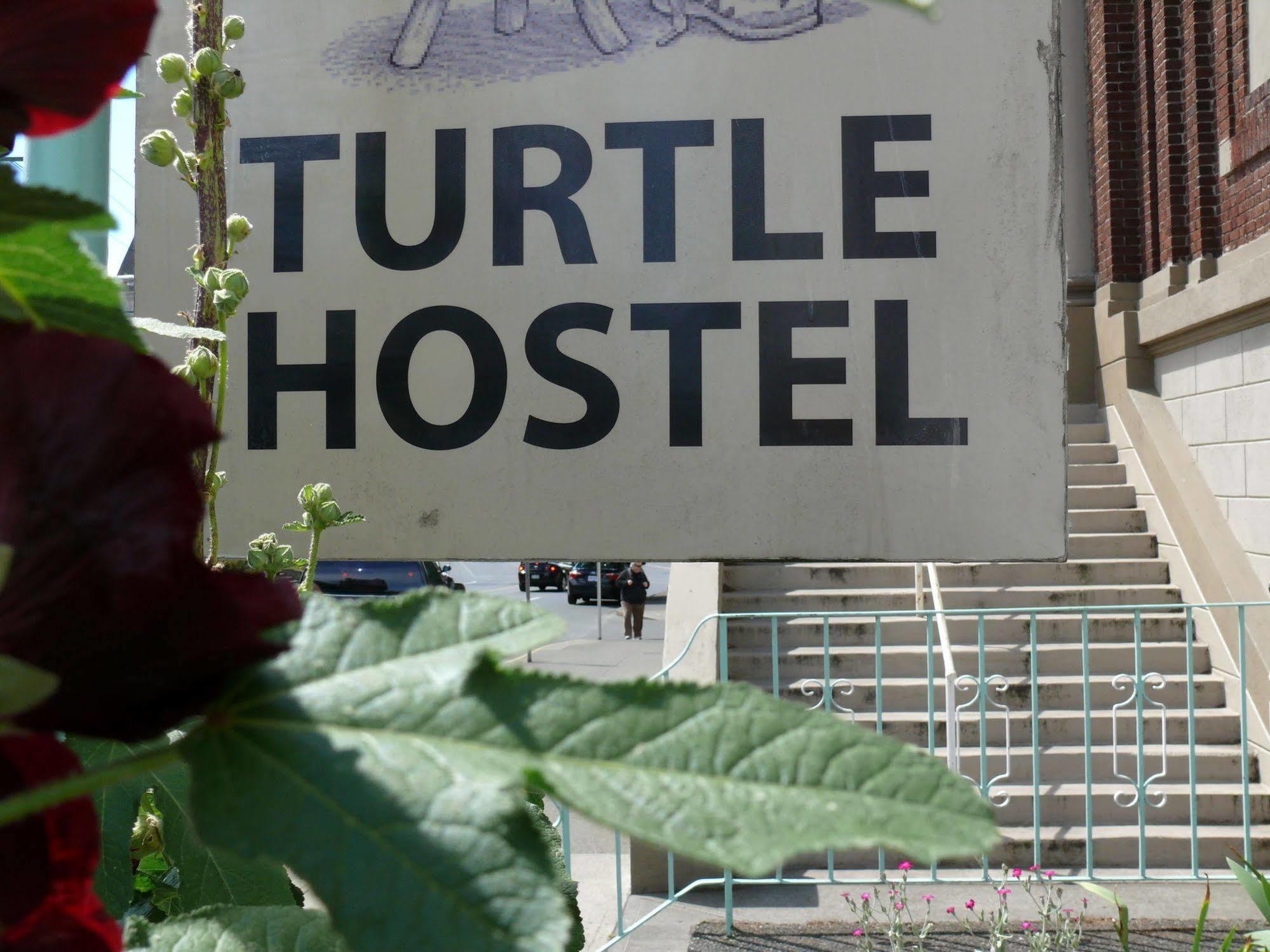 Hostel Turtle *