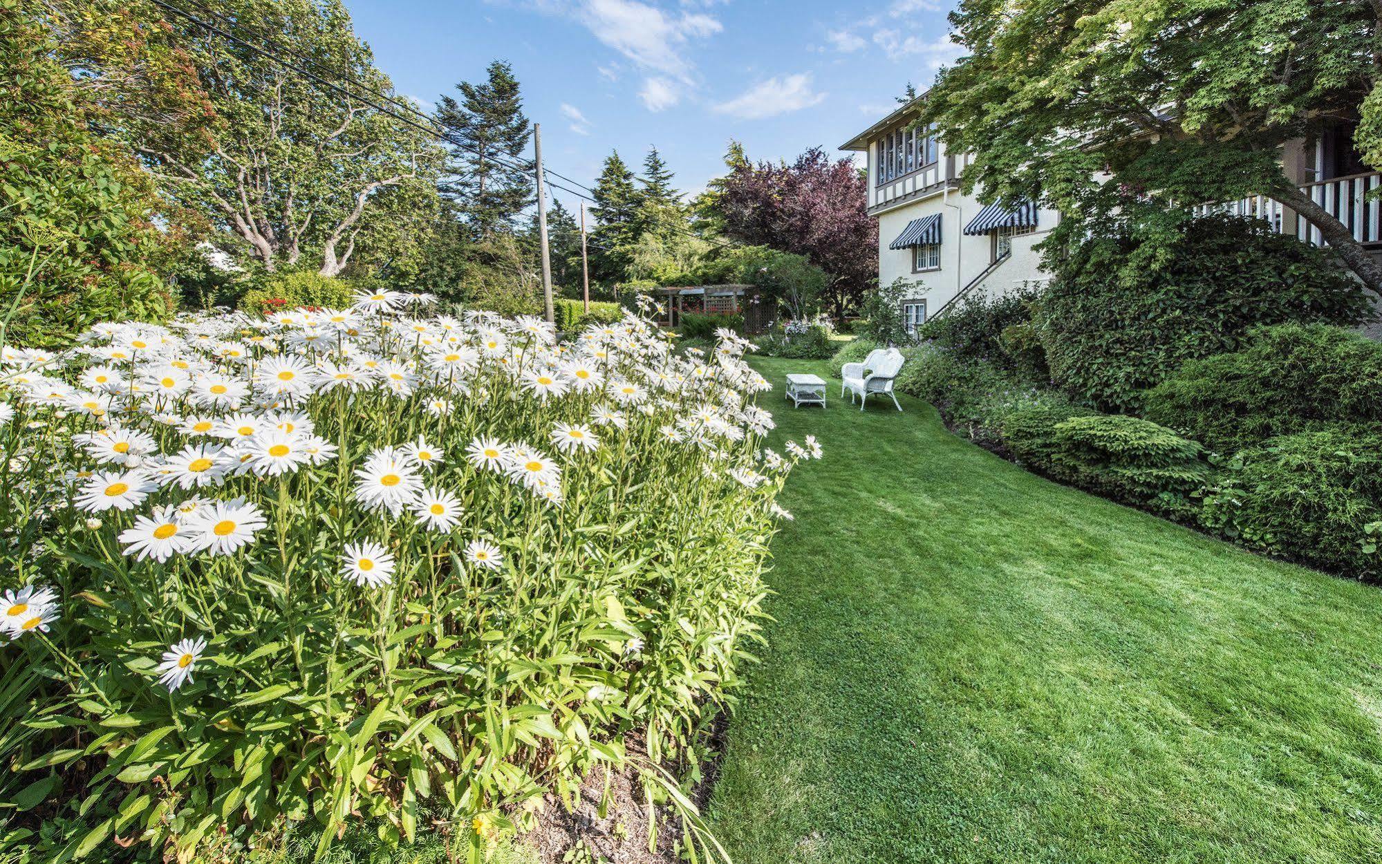 Bed & Breakfast Oak Bay 2*