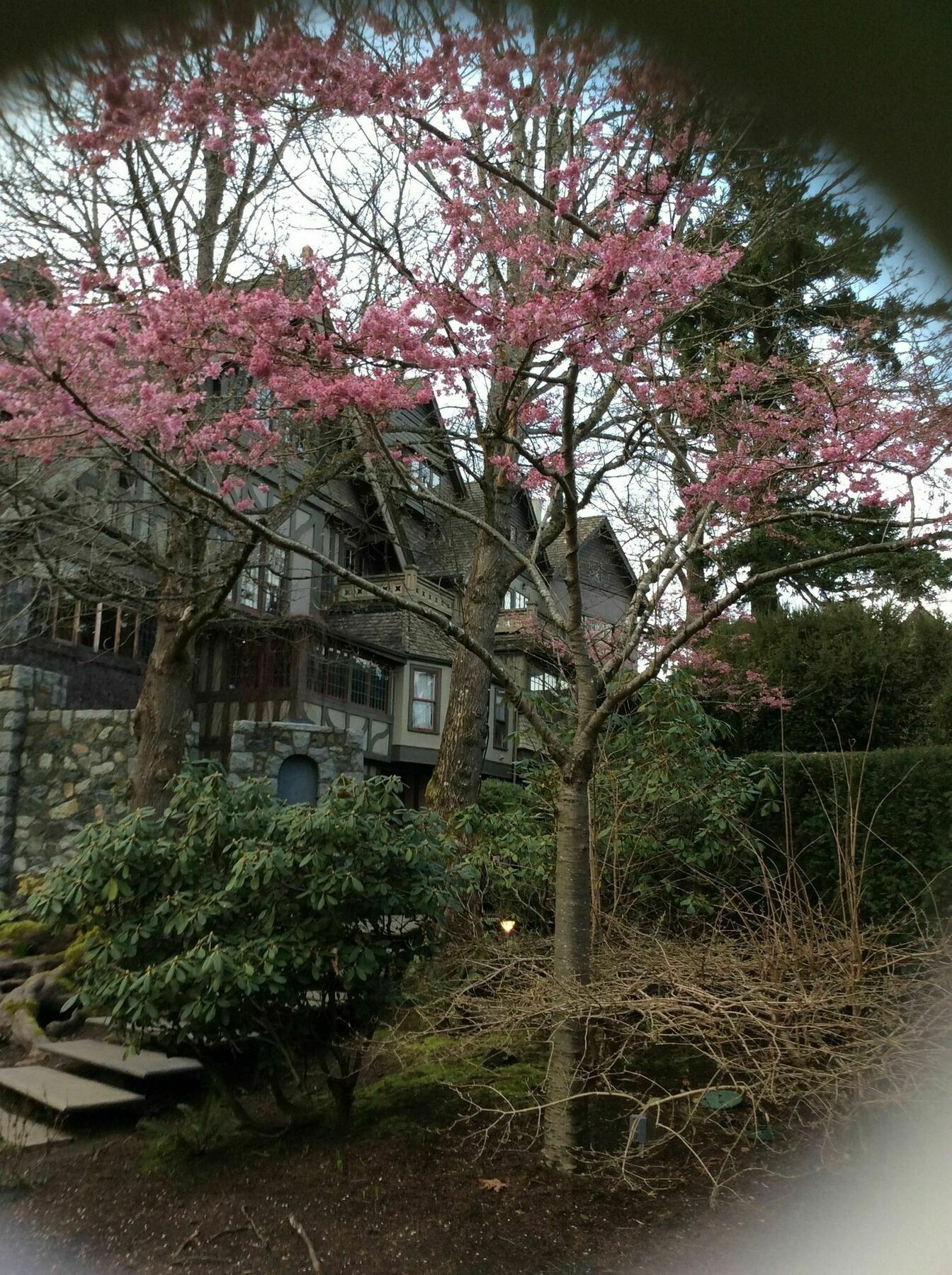 Hotel English Inn Esquimalt