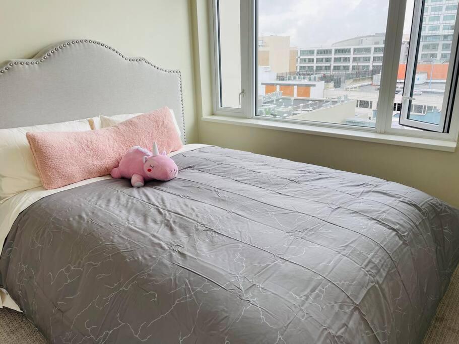 Apartment Lovely Downtown 2 Bedroom With Free Parking *