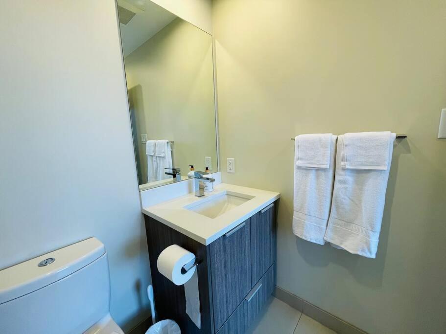 Apartment Lovely Downtown 2 Bedroom With Free Parking