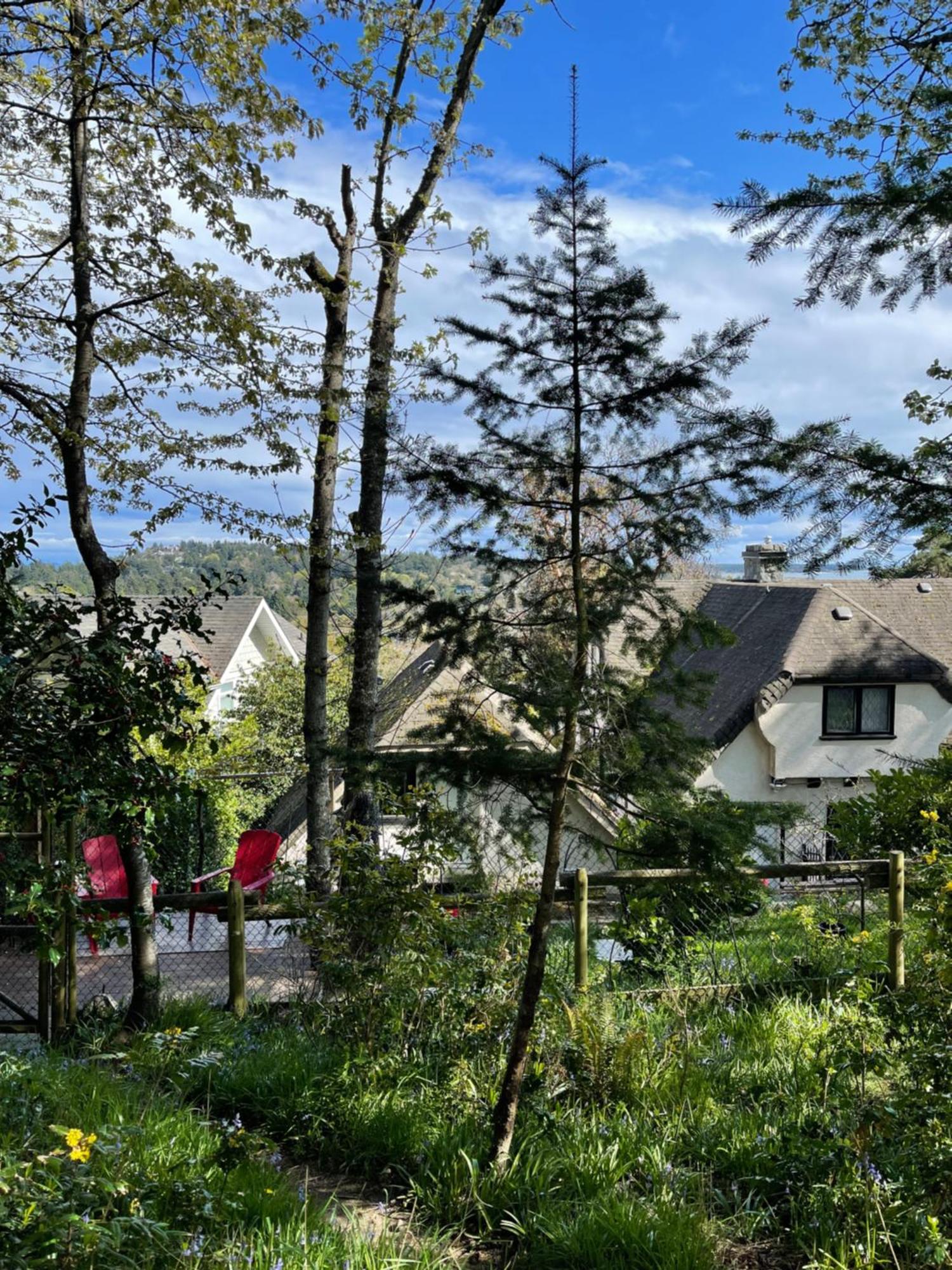 Uvic Victoria