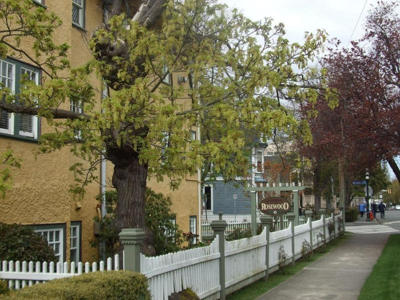 Hotel Rosewood Victoria