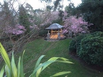 Hotel English Inn 3*