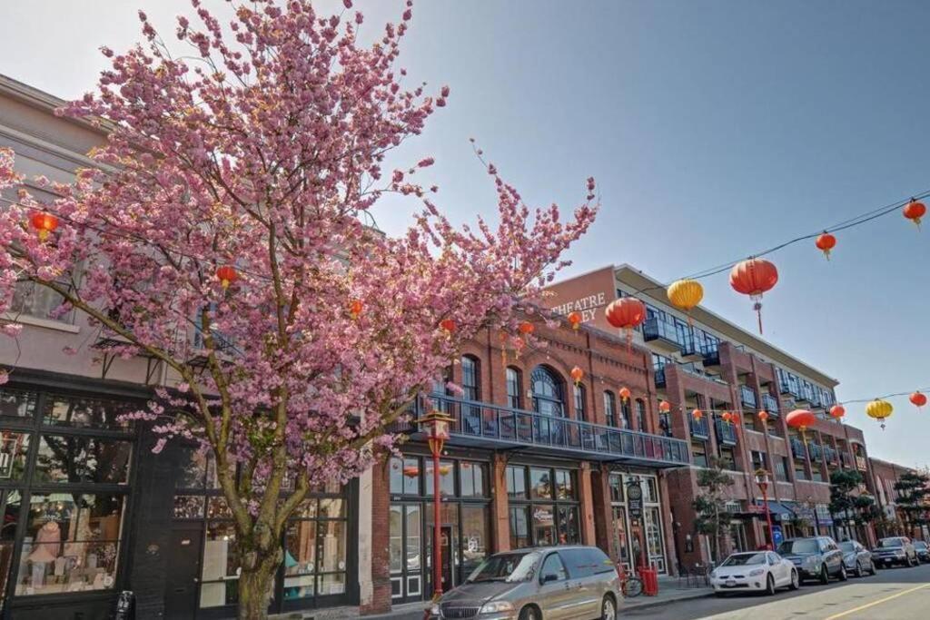 Clean 3rd Floor Executive 1 Bedroom Apt In Old Town China Town * Victoria