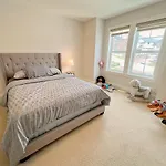 Dream View