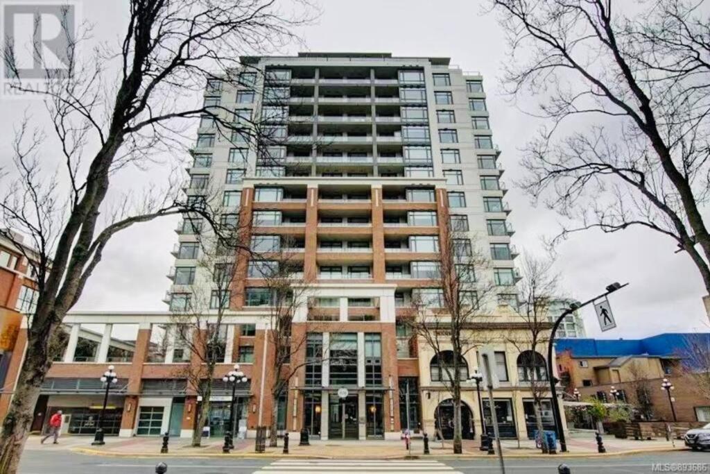Lovely Downtown 2 Bedroom With Free Parking