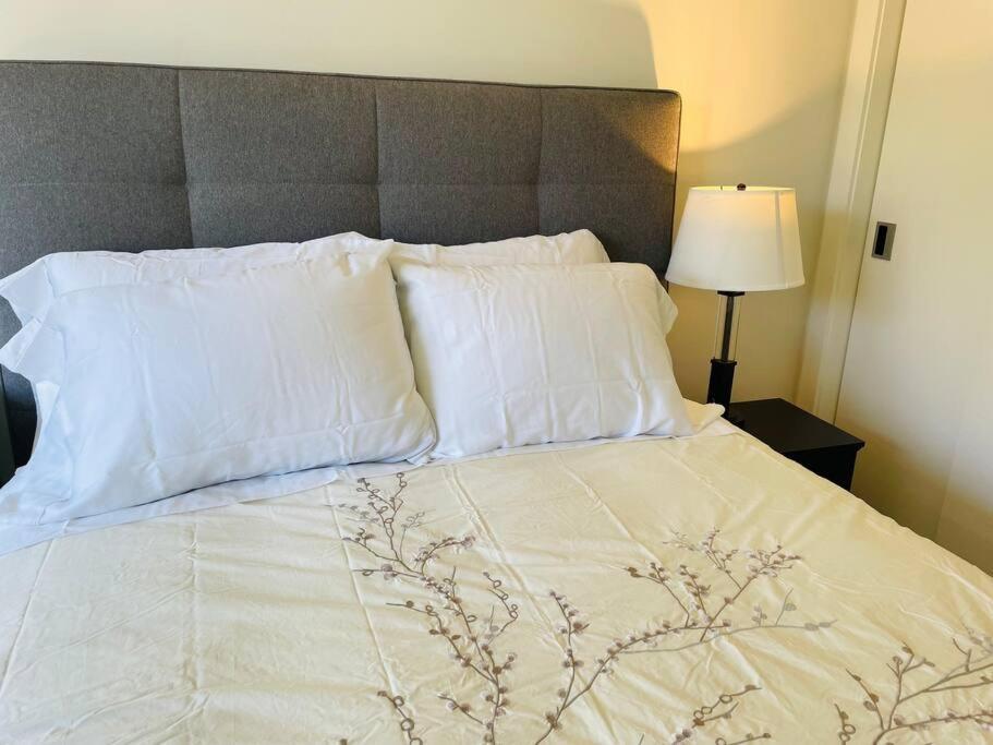 Spacious Downtown 2 Bedroom With Pool And Air Conditioning * Victoria