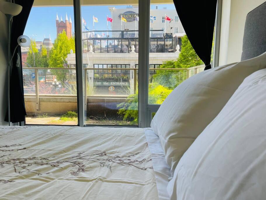 Spacious Downtown 2 Bedroom With Pool And Air Conditioning Apartamento *