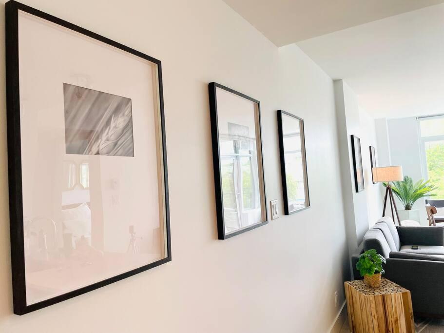Apartment Lovely 2 Bedroom Downtown With Free Parking