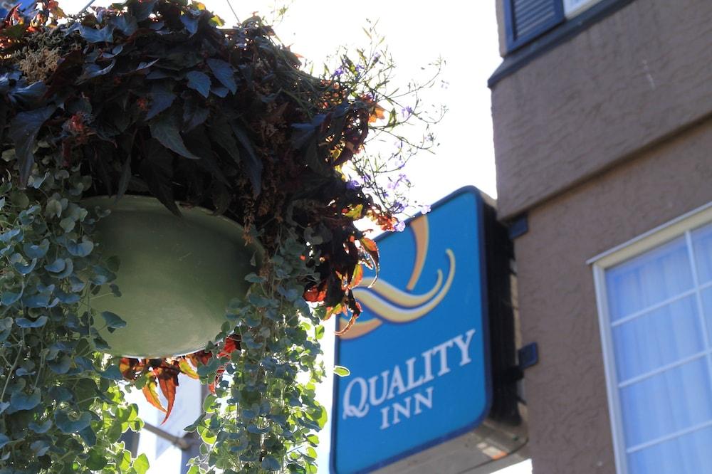 Quality Downtown Inner Harbour Victoria