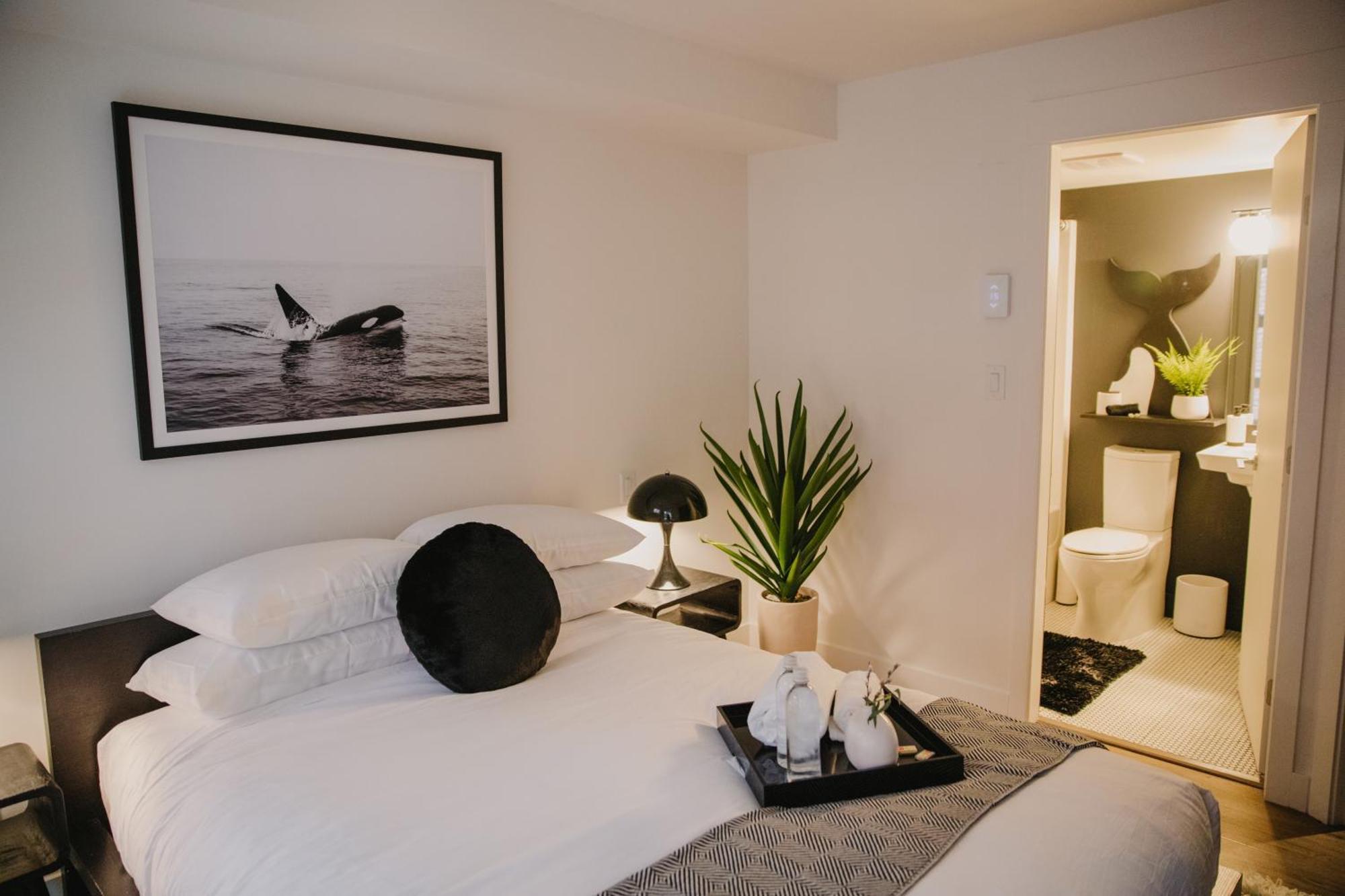 Apartment The Orca Pad At Waddigton Flats Victoria