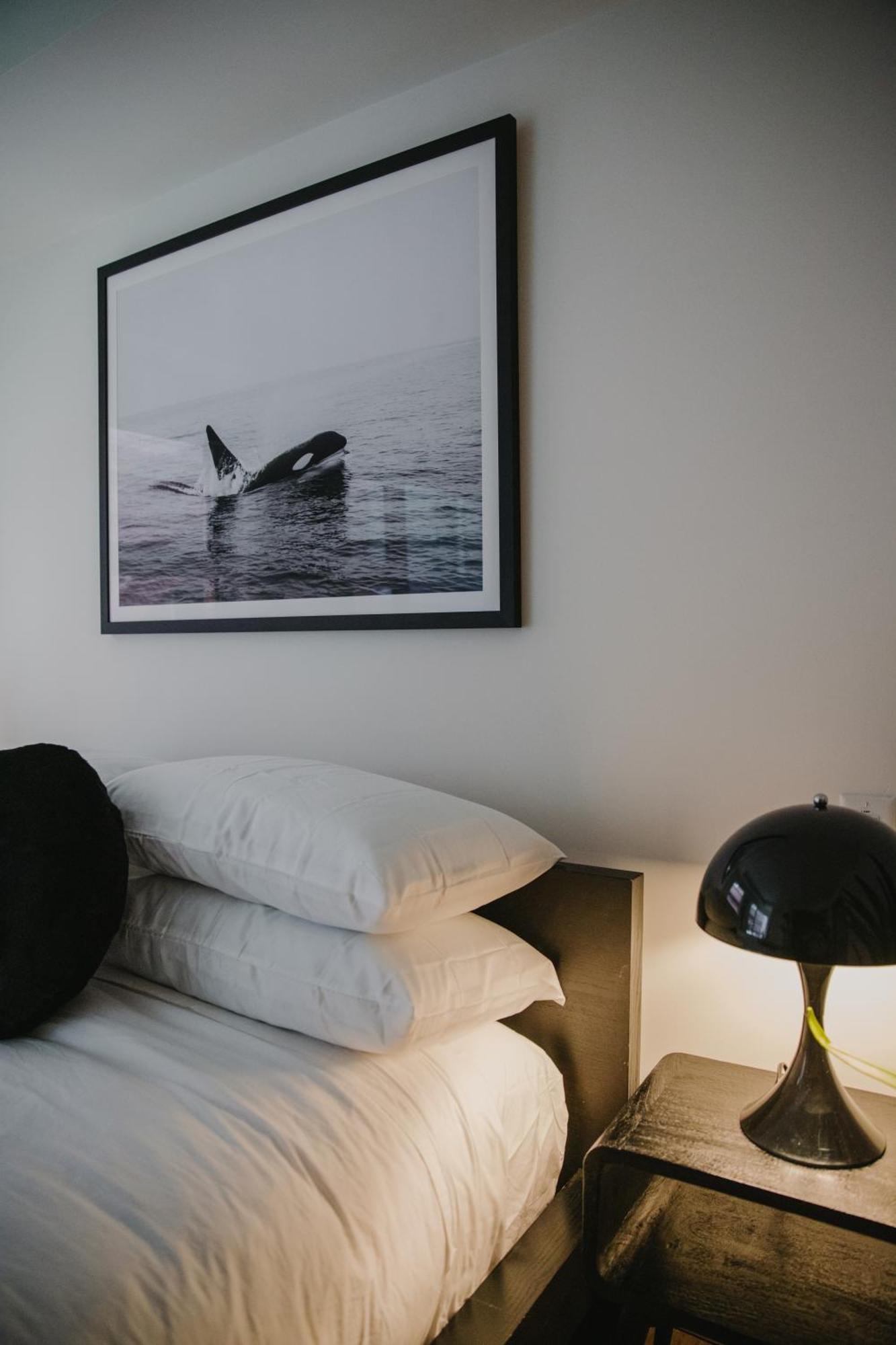 The Orca Pad At Waddigton Flats Apartment