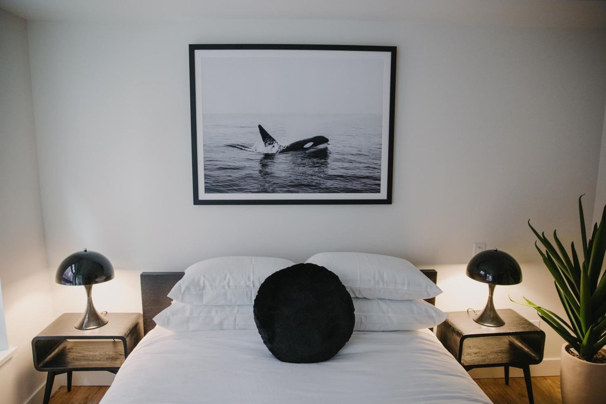 Apartment The Orca Pad At Waddigton Flats