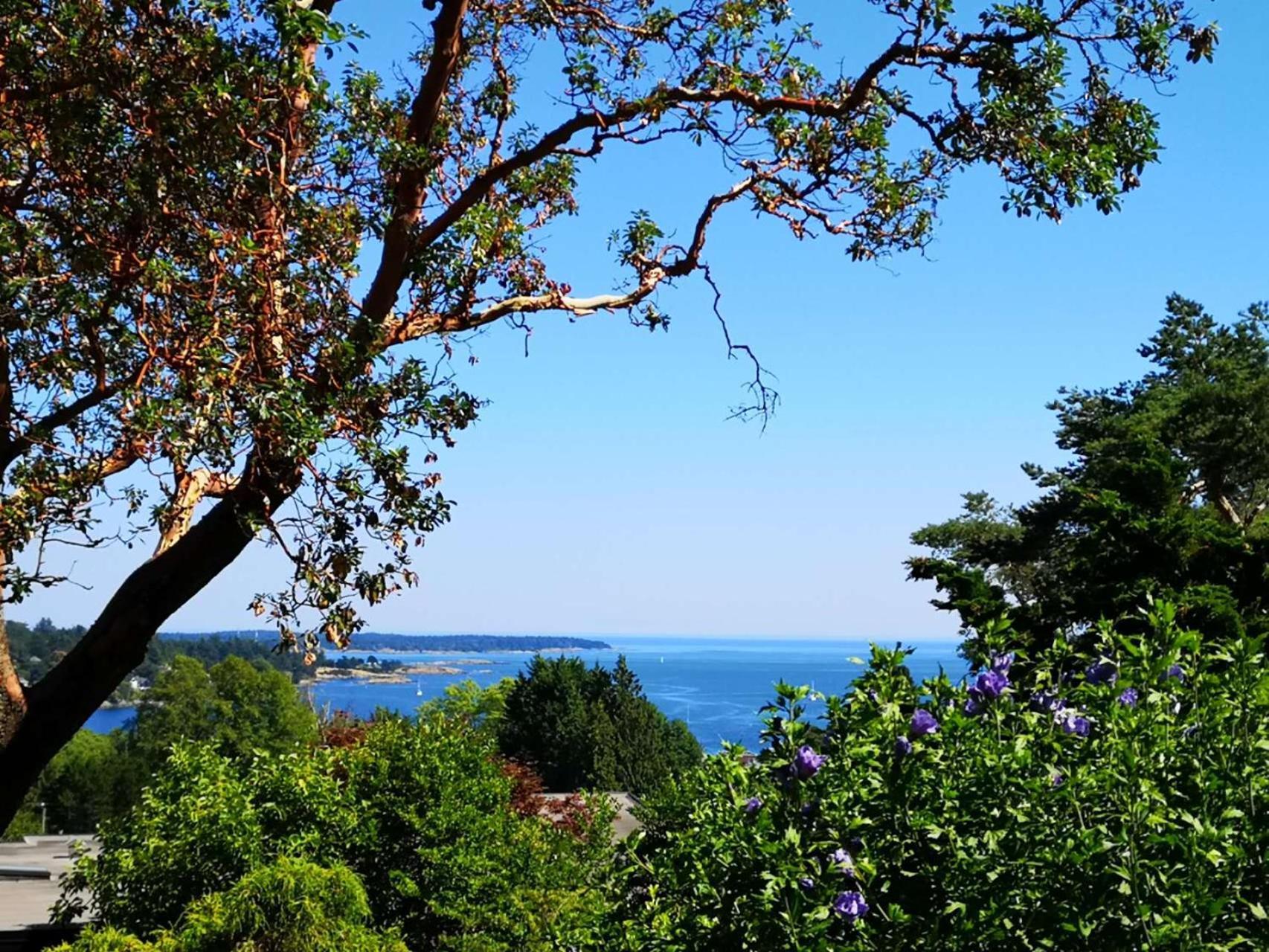 Uvic Ocean Peak House Homestay *