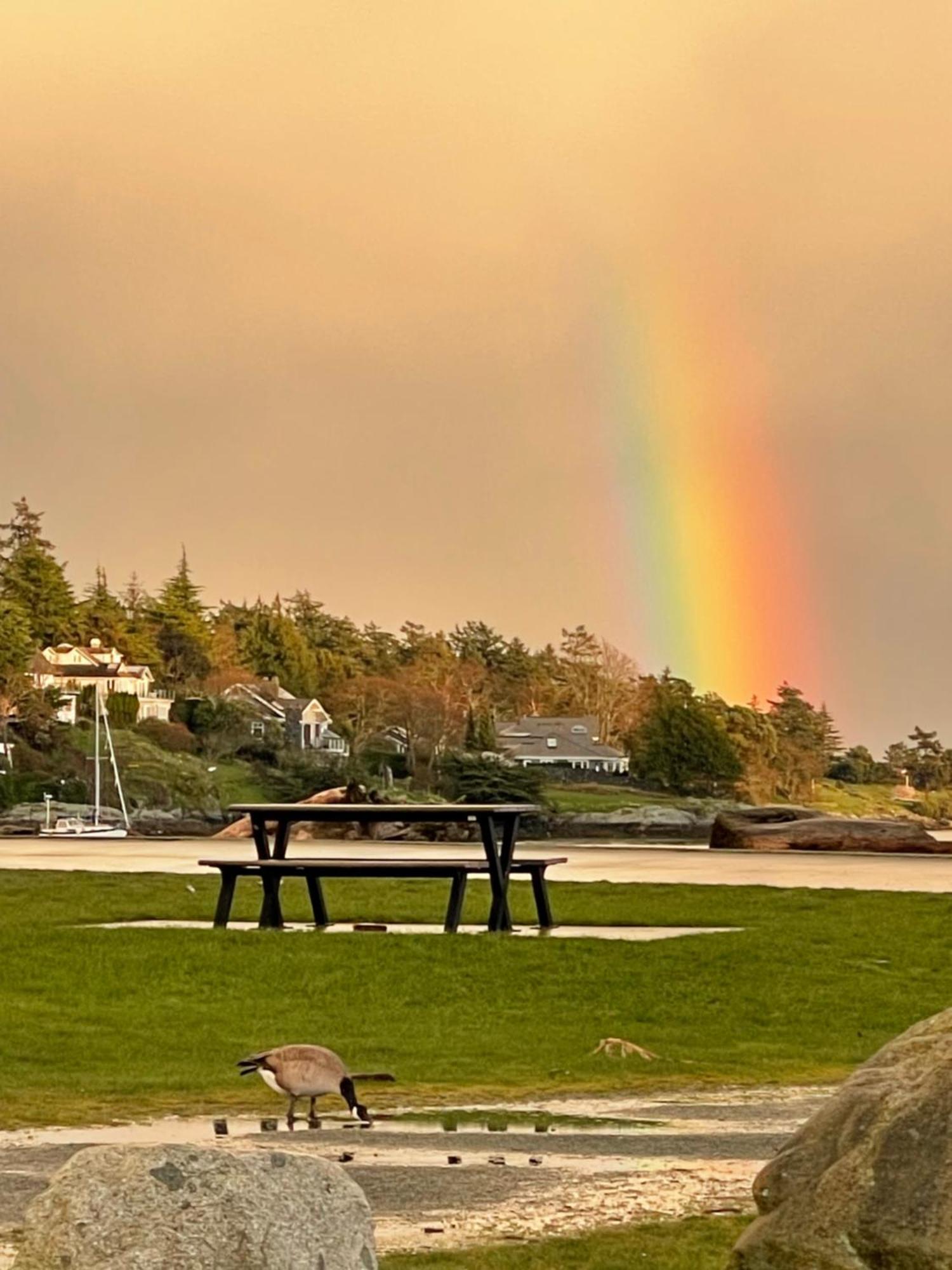 Uvic Alojamento Victoria