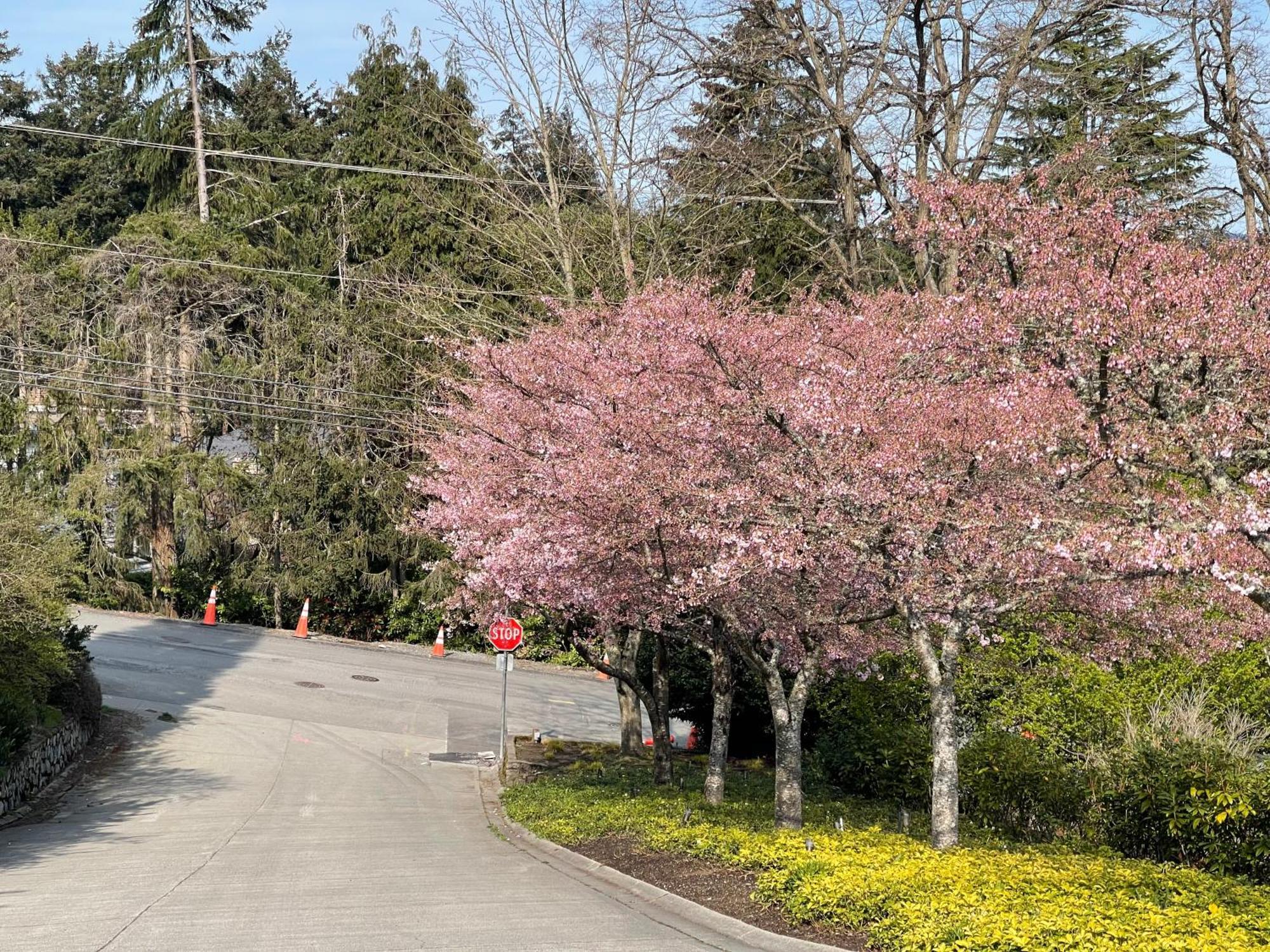 Alojamento Uvic Victoria