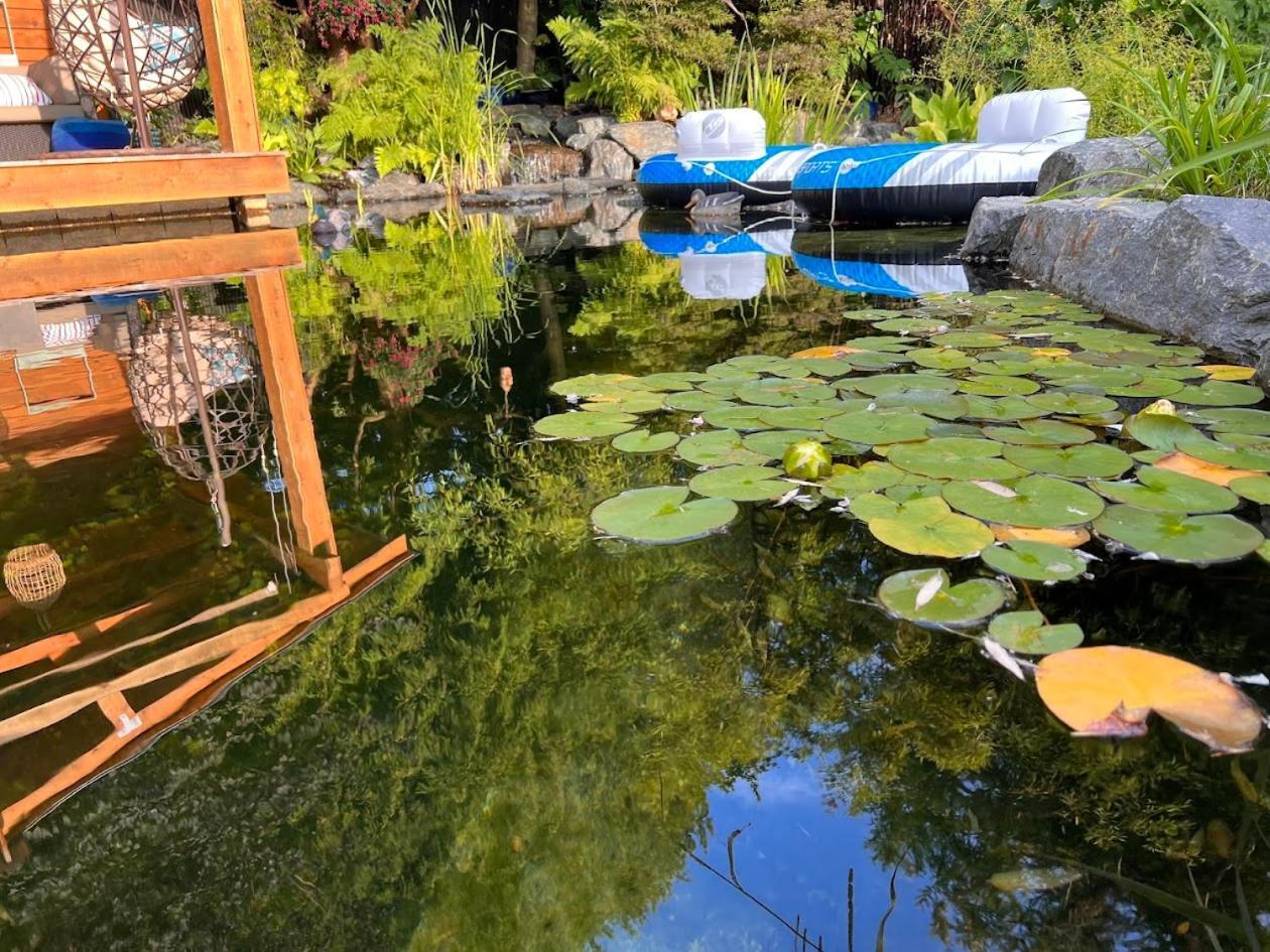 Couple's Oasis At Horner Park *
