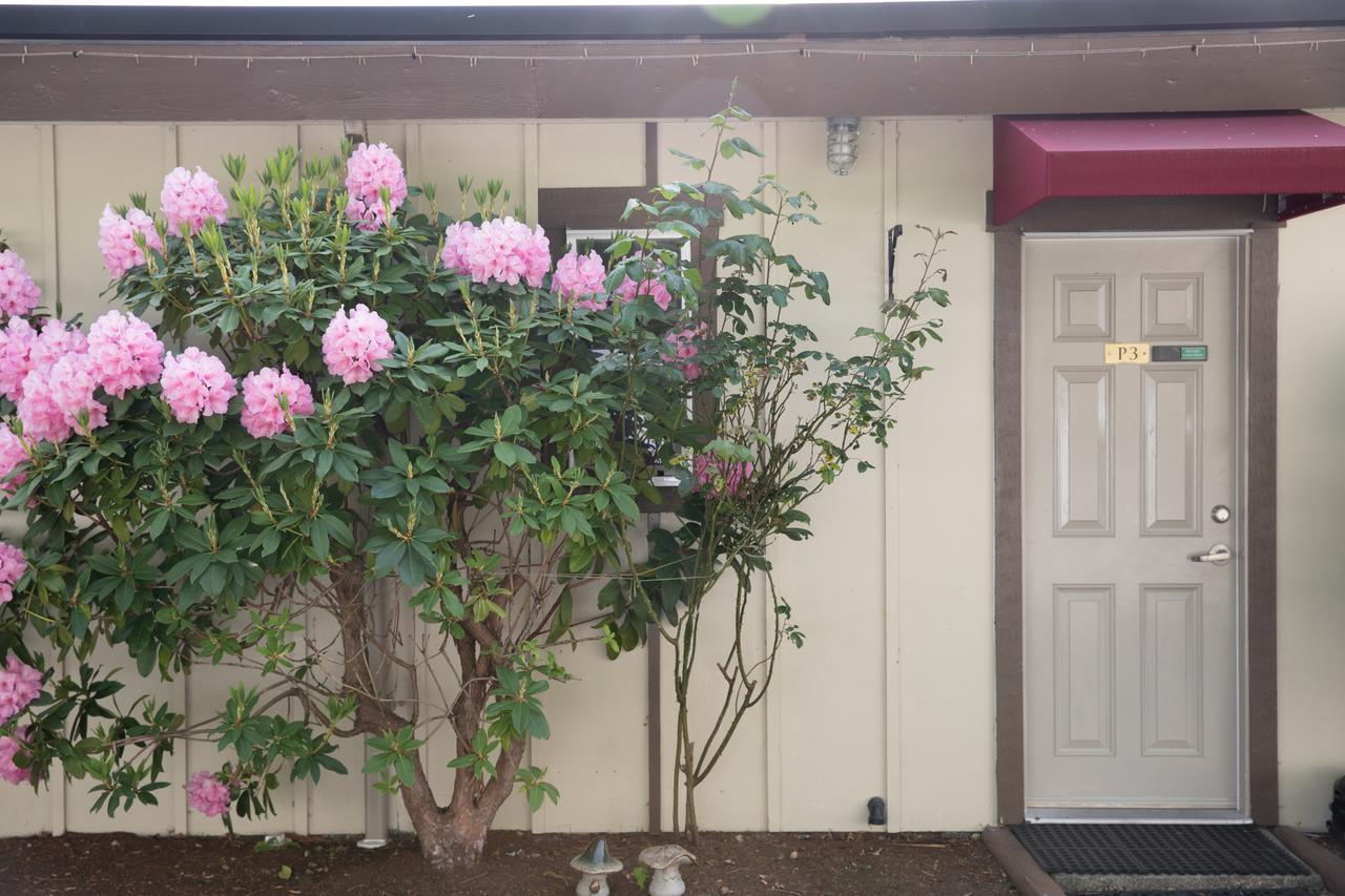 Cherry Tree Motel